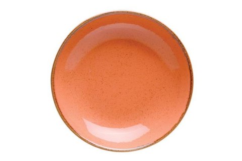 Talerz głęboki coupe Amber 260mm Talerz głęboki coupe Amber 260mm