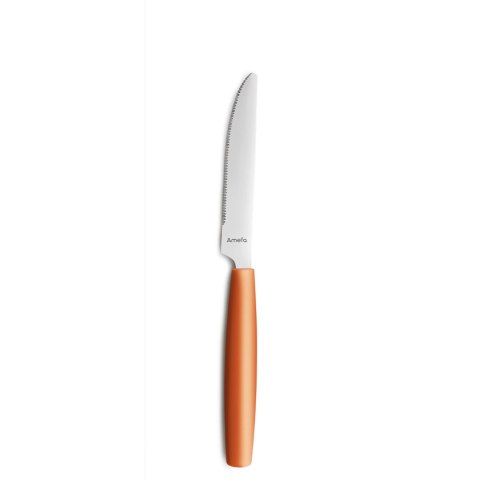 Nóż stołowy mango PIXCEL Nóż stołowy mango PIXCEL