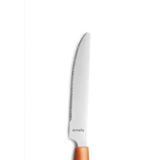 Nóż stołowy mango PIXCEL