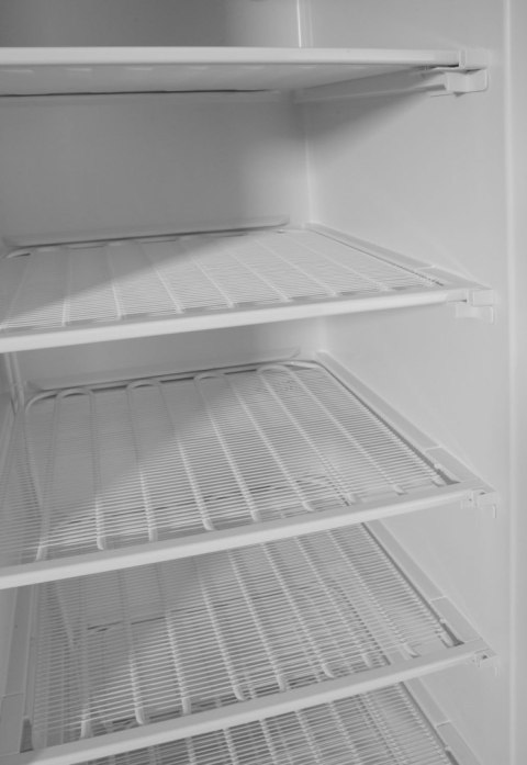 Szafa mroźnicza w obudowie ze stali malowanej na biało, Arktic, Budget Line, 260L, biały, 230V/280W, 639x600x(H)1875mm