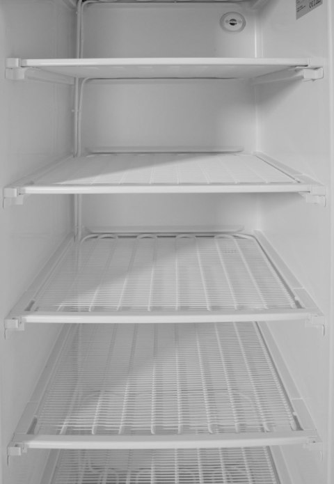 Szafa mroźnicza w obudowie ze stali malowanej na biało, Arktic, Budget Line, 260L, biały, 230V/280W, 639x600x(H)1875mm