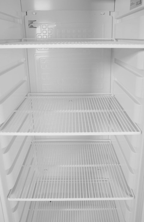 Szafa chłodnicza w obudowie ze stali nierdzewnej Budget Line, Arktic, Budget Line, 260L, 230V/170W, 639x600x(H)1875mm
