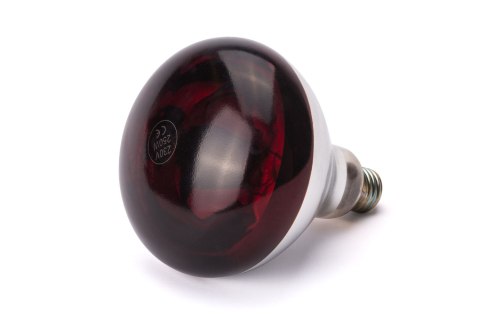 Żarówka grzewcza na podczerwień, HENDI, czerwony, 230V/250W, ⌀125x(H)170mm